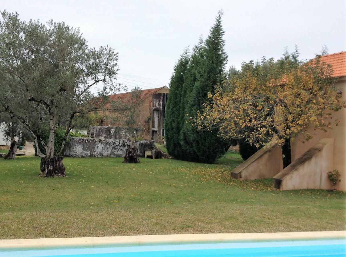 Adobe Typical Cottage Alpalhao  Kültér fotó